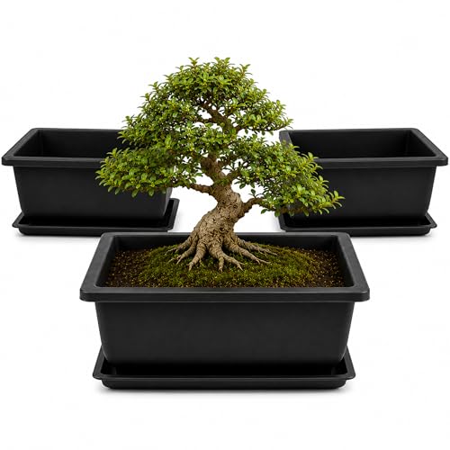 Plastic Bonsai Training Pots 3 Pack, 9 Inch with Drainage Holes and Trays - size: Large