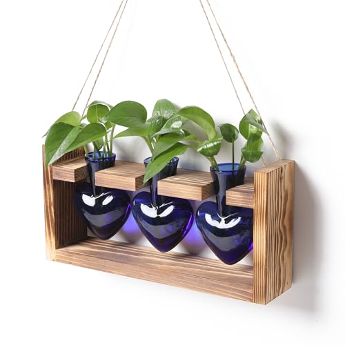 Plant Terrarium Propagation Stations Hydroponics - color: Blue