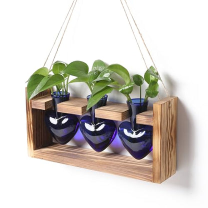 Plant Terrarium Propagation Stations Hydroponics - color: Blue