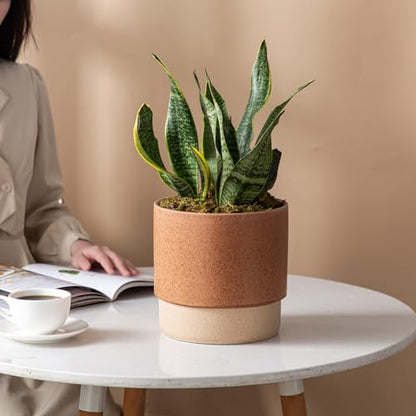 8 Inch Ceramic Self Watering Planter with Drainage Hole Terracotta - color: Terracotta, size: Medium