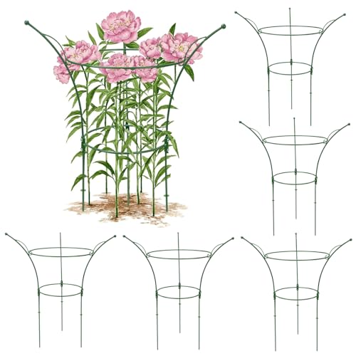 6 Pack Peony Cages and Supports Cages 13" D x 22.8" H Heavy Duty Metal Support Frame for Peonies & Roses Natural Bouquet Shape Garden Stakes for Outdoor Plants Flowers Ornamental (Green) - color: Green, size: 6 Pack