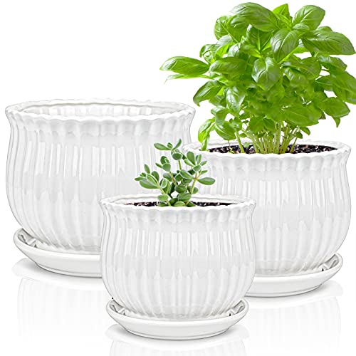 Yesland 3 Pack Ceramic Planter Pots, 3.9"/5.3"/6.7" Modern Round Flower Pots with Drainage Holes & Saucers, Small Indoor Planters for Succulent Cactus, Home Decor Gift