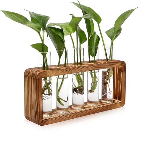 Glass Plant Propagation Station with 5 Test Tubes Colorful Planter Vase