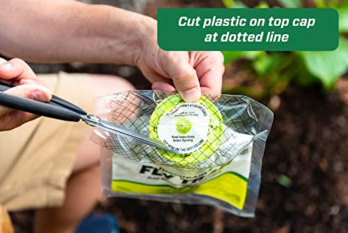 Rescue! Outdoor Disposable Fly Trap – Hanging Fly Catcher with Attractant Bait, Fly Bag for Patio, Yard, Trash & Farm Areas – Easy-to-Use Outdoor Fly Control - 6 Traps