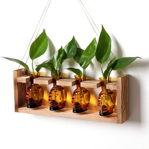 Plant Propagation Stations Halloween Skull Plant Terrarium Kit - color: Amber