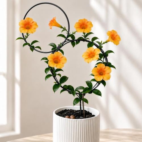 Hoya Trellis for Indoor Plants -Stylish Support for Climbing Pothos - color: Black
