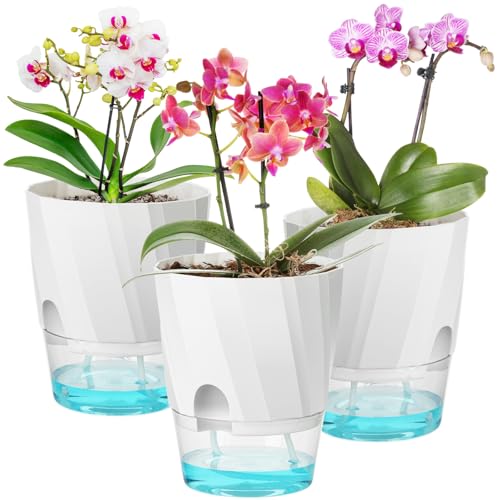 KIMCHOMERSE Self Watering Plant Pots, 6 Inch Indoor Plant Pots 3 Pack White - color: White, size: 6 Inch Set of 3