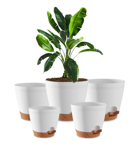 Utopia Home Self Watering Pots for Indoor Plants 6.8"/6.4"/5.9"/5.5"/4.9" Set of 5, Planters for Indoor Plants, Small Multi-Size Flowerpot, Plant Pots with Drainage & Reservoir (White) - color: White, size: Pack of 5