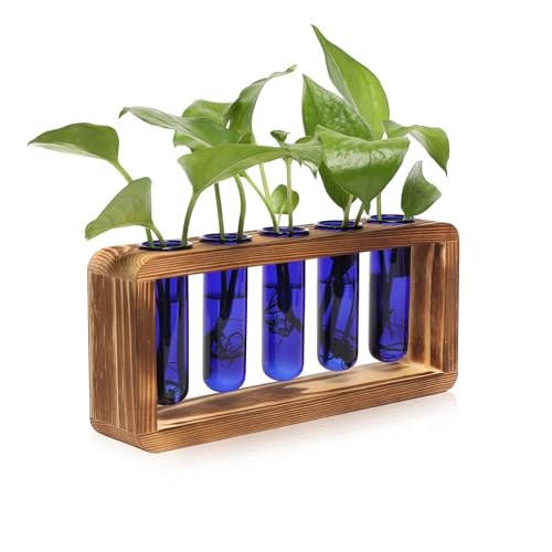 Glass Plant Propagation Station with 5 Test Tubes Colorful Planter Vase - color: Blue