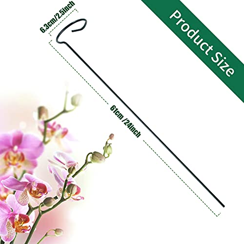 12 Pack Plant Support Stakes with 24 Pcs Plant Clips, Garden Single Stem Support Stake, Plant Cage Support Ring for Indoor Outdoor Flowers Rose Amaryllis Tomatoes Peony Lily Orchid (24 Inch) - color: 12 PCS, size: 24 Inch