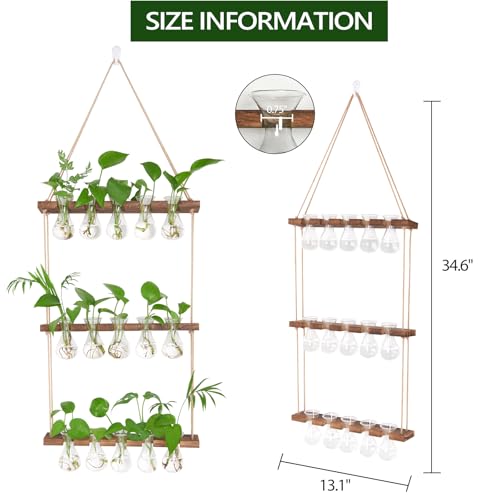 XXXFLOWER Wall Hanging Propagation Station 5 Bulb Vase 3 Tiers Brown - color: Clear