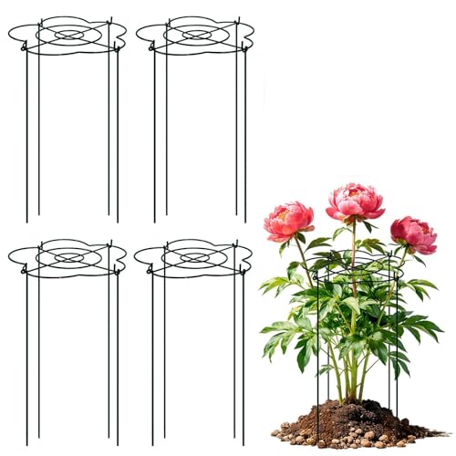 Peony Cages and Supports 4 Pack, 13" Dx24 H Grow Through Plant Supports, Heavy Duty Metal Plant Support Cage for Outdoor Flowers, Tomatoes, Hydrangeas, Cucumbers & Strawberries