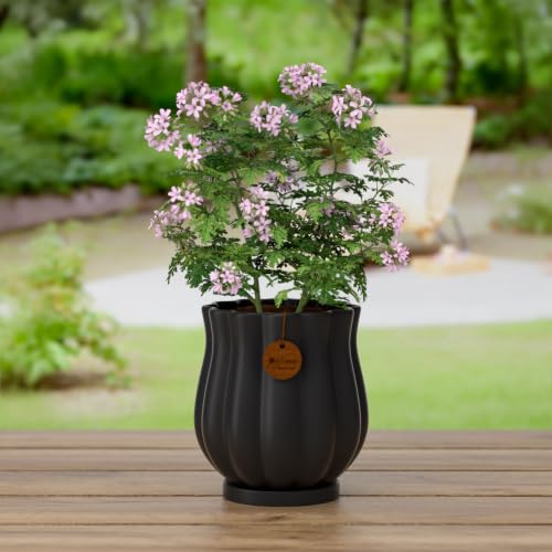 5.8" Matte Black Ceramic Plant Pot with Saucer - color: Matte Black, size: Medium
