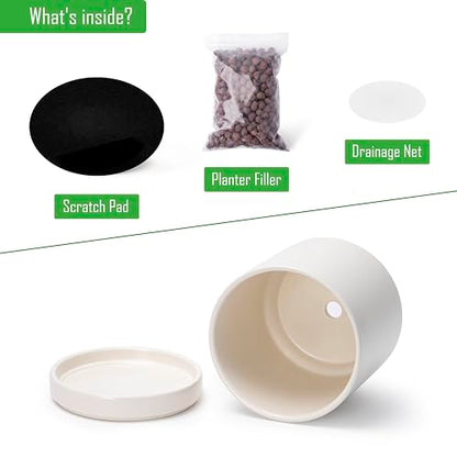 D'vine Dev 2-Pack Ceramic Pots with Saucers, Oatmeal, 6.5 in, 94-V-C-8 - color: Oatmeal, size: 6 Inch