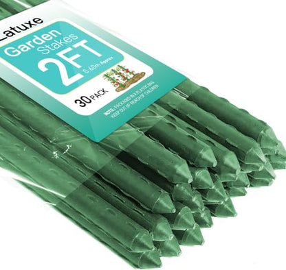 Garden Stakes 2FT, Plastic Coated Steel Plant Stakes Specifically Designed for Climbing Plants, Ideal for Tomatoes, Beans, Cucumbers, Peppers, Vines, and More Plant Growth - size: 2FT, 30 of pack