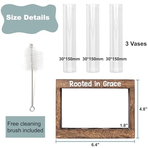 Rooted in Grace Propagation Station – Wooden Plant Holder with 3 Glass Vases, Indoor Rooting Station for Cuttings, Christian-Inspired Gift for Women, Birthday, Housewarming, Plant Lover Décor - size: 3 Glass Vases