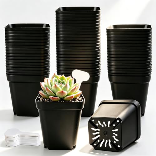 Nursery Pots for Plants, 4 inch Plant Pots, 60 Pack, Black