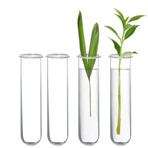 XXXFLOWER Glass Propagation Stations Accessories 4 Tube Vases - size: Size B