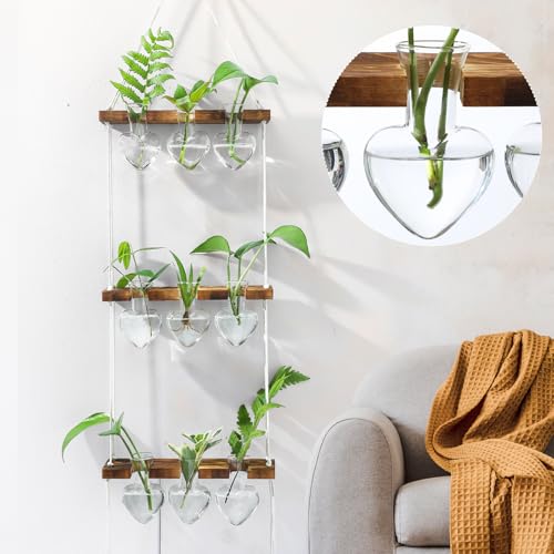 Leinuosen Hanging Plant Propagation Station, Propagation Vases, Clear - color: Clear