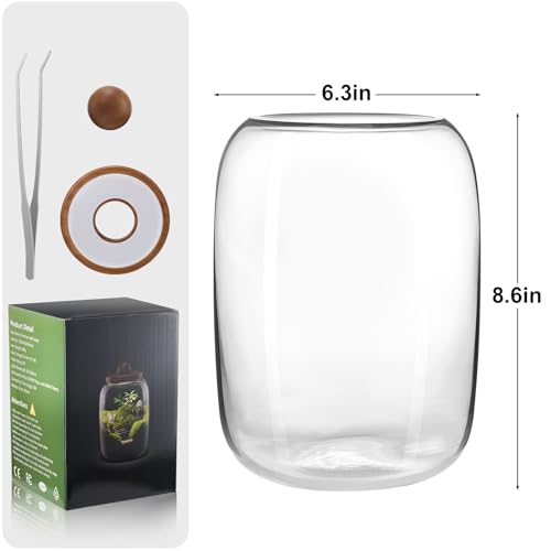 Plant Terrarium with Grow Light: 8.6H+6.3W Glass Terrarium - size: H-8.6IN