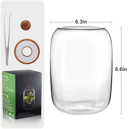 Plant Terrarium with Grow Light: 8.6H+6.3W Glass Terrarium - size: H-8.6IN