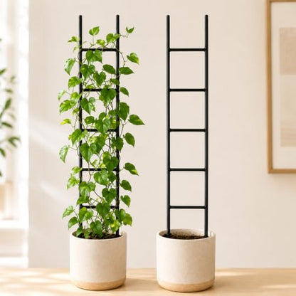 2PCS Indoor Plant Trellis, Sturdy Ladder Trellis for House Plant