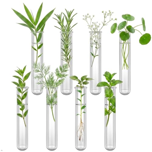 8 Pcs Test Tubes for Plant 6 x 1.2 Inch Plant Propagation Tube, Glass Test Tubes for Scientific Experiments, Round Bottom Test Tube for Hydroponic Plants, Home Office Wall Decor - size: 6x1.2 Inch