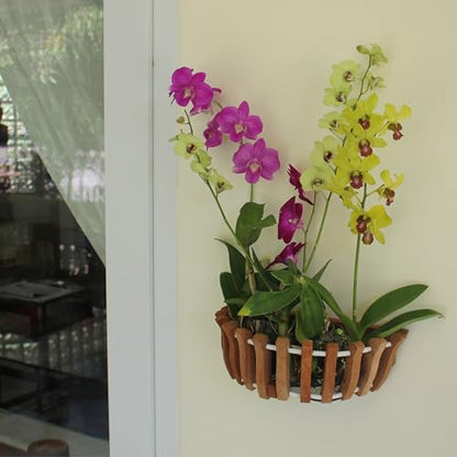 3 Wooden Orchid Wall Planters, Plant Baskets for Wall Mounting (Wall Baskets)