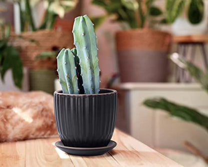 D'vine Dev 2-Pack Stoneware Planter Pots, 4.5/5.8 in, Black, 99-D-2 - color: Black