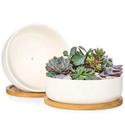 ZOUTOG 2 Pack 6" Ceramic Succulent Pots, White Planters with Drainage Tray - color: 2 Pack, size: 2.28 Inch High