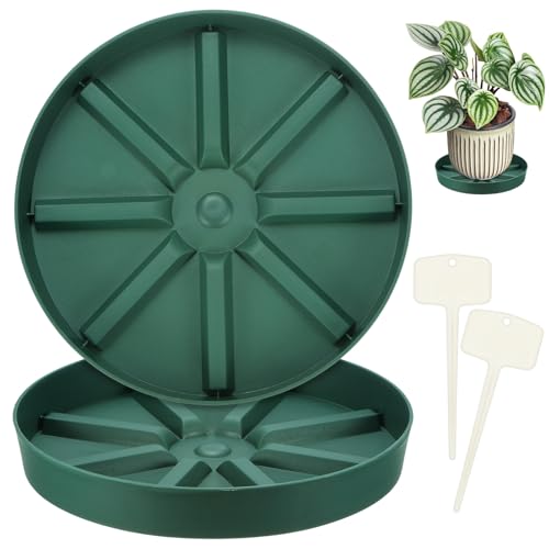 M METERXITY 2-Pack Plant Saucer, 9.65 Inch/24.5 cm Plastic Plant Trays Thicker for Pots/Indoor/Outdoor/Water Drainage and Protection, Flowerpot Drip Tray [Green] - size: 9.65 in