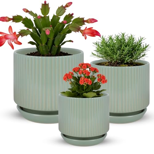 Ceramic-Flower-Pots-Sets-with-Saucer, 5/6/8 inch Small Planters for Indoor Plants with Drainage Hole, White Vertical Stripe Plant Pots for Home Decor, Outdoor Garden Pot For Succulent Cactus Herb - color: Green, size: 5.1+6.3+8 inch