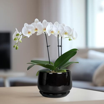 G EPGardening 6 Inch Planter, Ceramic Pot for Plants, Black - color: Black, size: 5 Inch
