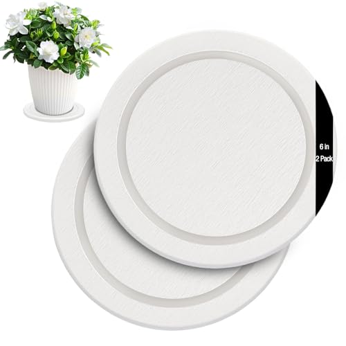Instant Dry Diatomaceous Earth Plant Saucer, Round Stone Drip & Drainage Tray for Indoor Outdoor, Absorbent Pot Coaster, Housewarming Gift, Keep Floors Dry and Clean (2,6in,White) - color: White, size: 6.30 × 6.30 in