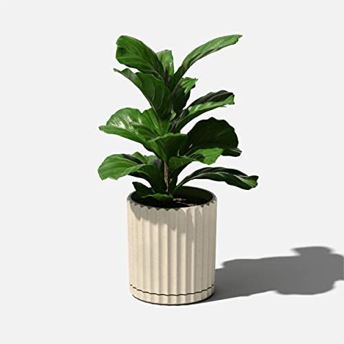 Veradek Demi Series Demi 6" Planter w/Tray, Sand - color: Sand, size: 6 inch