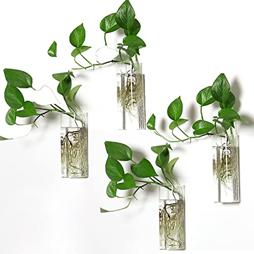 4 Pack Wall Hanging Planters Glass Terrariums - Rectangle Shape Plants Holders Flowers Glass Wall Vase Containers for Plant, Decoration and Display - color: 4 Pack, size: Rectangular (M)
