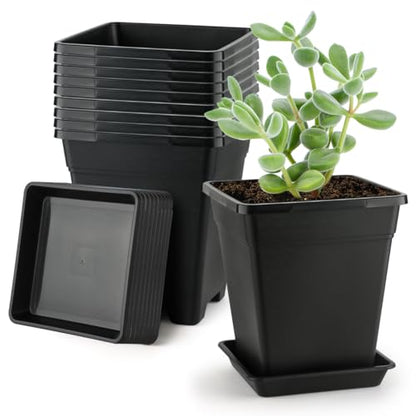 BTPLASTIK Square Plastic Planter 8 Inch, Plant Pots with Drainage Hole & Tray, 10 Pack Modern Decorative Garden Pot with Saucer, 1 Gallon Flower Pots Planters for Indoor Outdoor Plants - size: 8 INCH / 10P