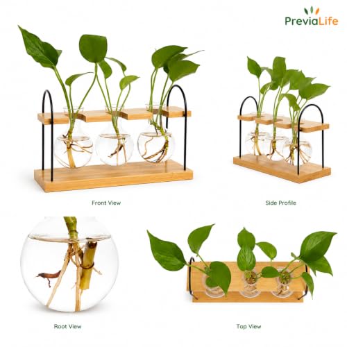 Plant Propagation Station with Bamboo Stand 3 Bulb Glass Vase Plant Terrarium, Hydroponic Planter for Desk & Office Decor, Gardening Gifts for Women Plant Lovers, Care Guide Included