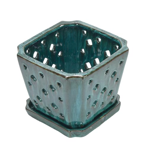 W&W Orchid Pot with Holes and Saucer for Repotting, Green Mix, 7" - color: Green Mix