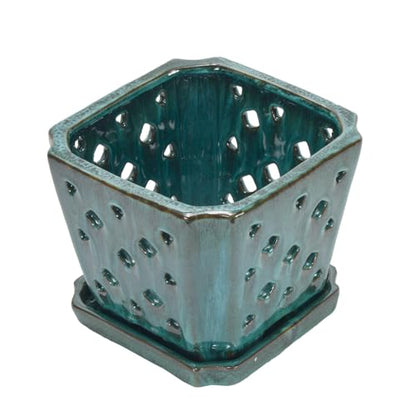 W&W Orchid Pot with Holes and Saucer for Repotting, Green Mix, 7" - color: Green Mix