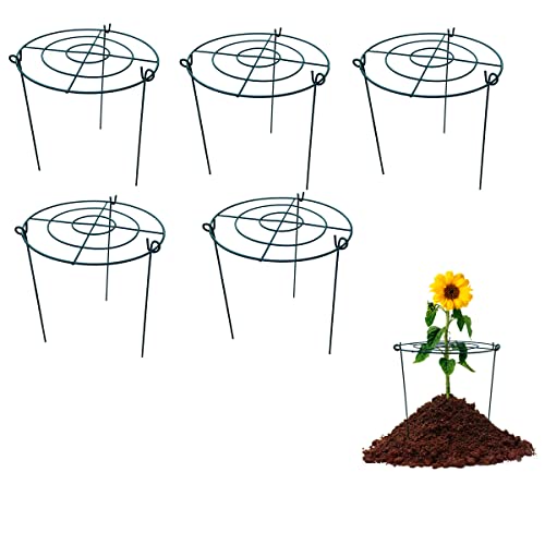 5 Pack 16"x24" Peony Cages Plant Support Stakes Grow Through Grid Grow Through Hoops, Metal Flower Plant Brace Support Ring for Heavy Blossom - size: 16"x24" Pack of 5
