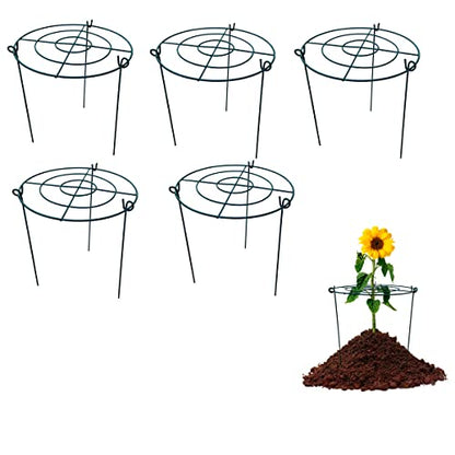 5 Pack 16"x24" Peony Cages Plant Support Stakes Grow Through Grid Grow Through Hoops, Metal Flower Plant Brace Support Ring for Heavy Blossom - size: 16"x24" Pack of 5