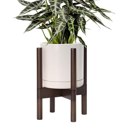D'vine Dev Ceramic Pot with Walnut Wood Stand, Oatmeal, 8 in, 55-B-Y-8 - color: Oatmeal Pot + Walnut Color Stand, size: 8 Inch