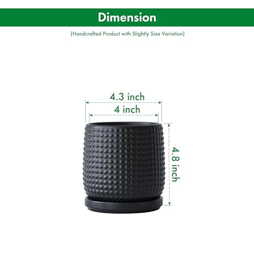D'vine Dev Beaded Ceramic Pot with Saucer, 4 in, Ebony Matte, 27-C-Z-6 - color: Ebony Matte, size: 4.3 Inch