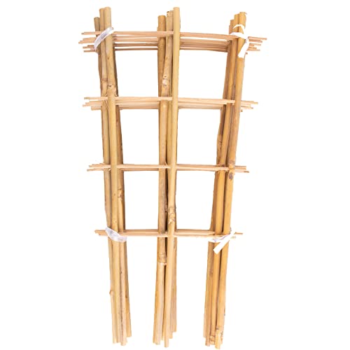 Avalution 10 Pack Bamboo Trellis for Climbing Plants 16" Natural Garden Ladder Trellis, Fan -Shaped Plant Support Trellis for Potted Plant Decor - color: Fan-Shaped, size: 10 PACK-16 inches