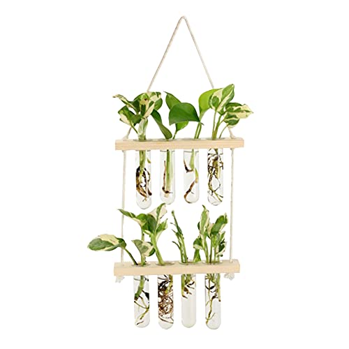 Wall Hanging Planter, 2 Tiered Plant Propagation Stations Plant Terrarium with Wooden Stand, Glass Planter Test Tube Vase for Propagating Hydroponic Plants Home Office Garden Decor (Wood Color) - color: Wood Color