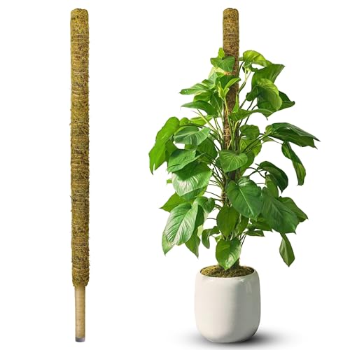 DUSPRO 59" Natural Large Moss Pole for Big & Mature Plants, (1pc., 59'') - size: 59" NATURAL MOSS POLE for BIG PLANTS