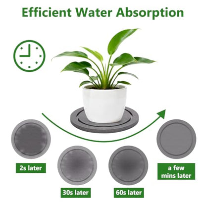 12" Instantly Dry Diatomite Stone Plant Saucer - 2 Pack, Gray - color: Gray, size: 12" (2 Pack)