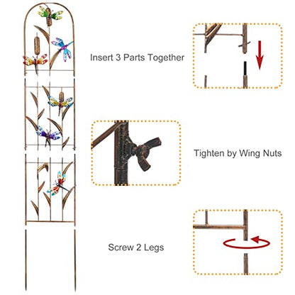 2 Pack Metal Garden Trellis for Climbing Plants - style: Dragonfly