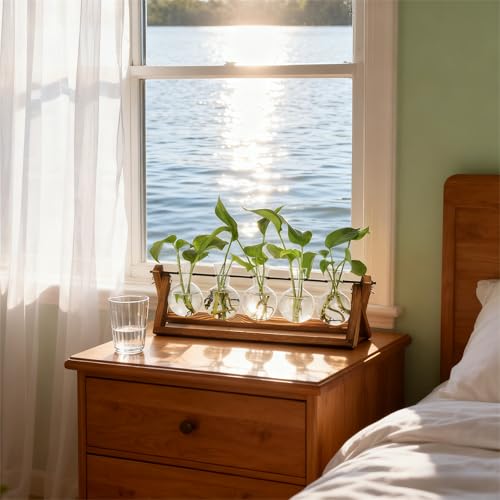 Renmxj Plant Propagation Stations with Wooden Stand & 5 Glass Bulb Vases - size: 5 Bulb Vase